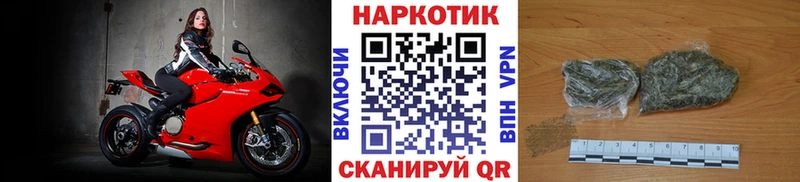 Виды наркотиков купить Стародуб Бошки Шишки Alpha PVP Гашиш МЕФ Cocaine