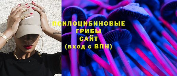 соль ск Лиски