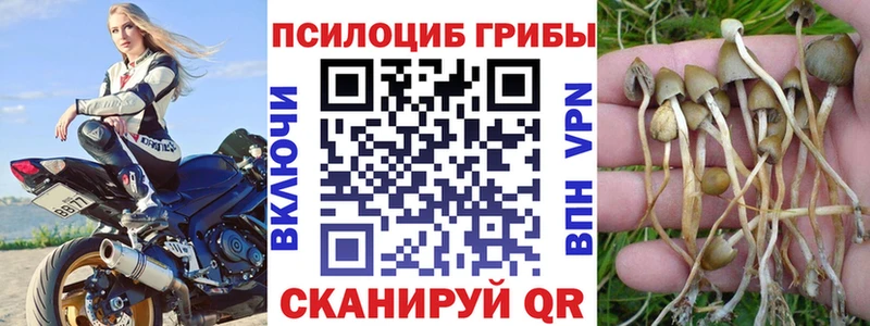 Галлюциногенные грибы MAGIC MUSHROOMS  Стародуб 