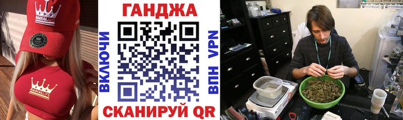 Бошки марихуана гибрид Стародуб
